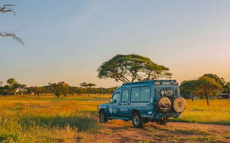 Africa Luxury Safari 1052