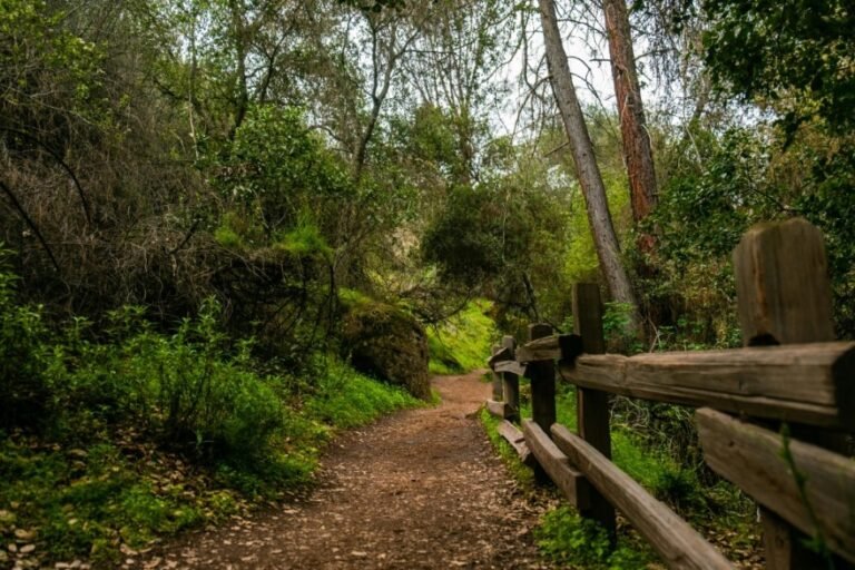 nature walks